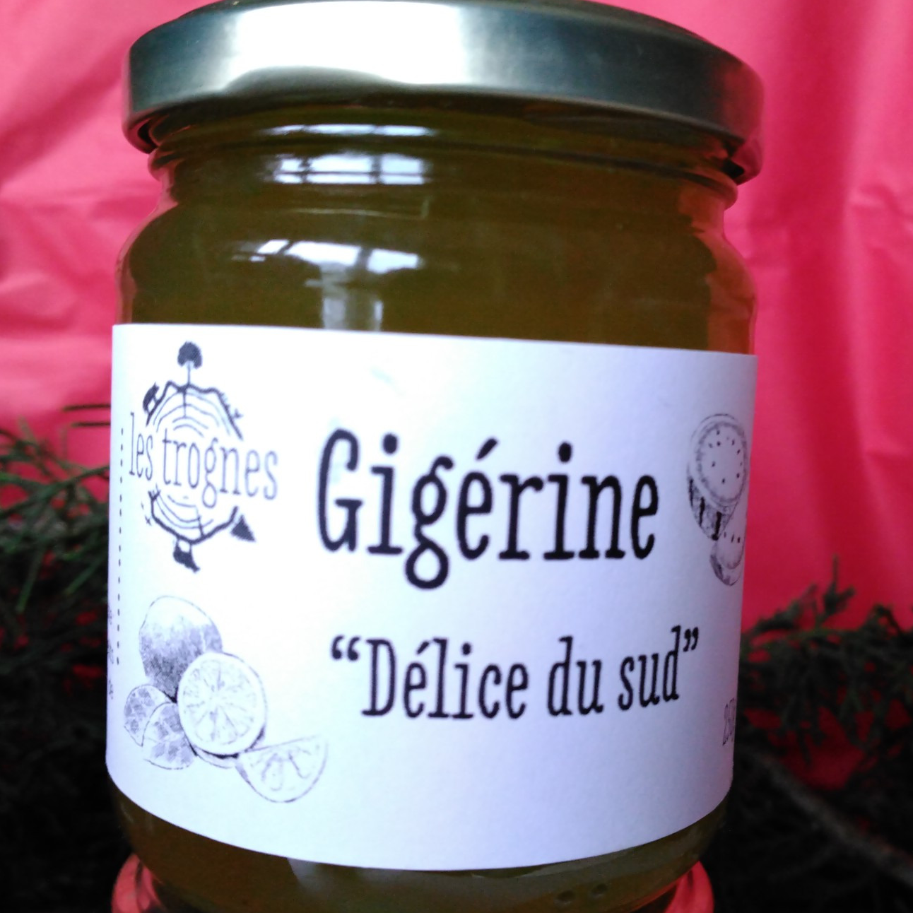 Délice du Sud - Confiture de Gigérine bio