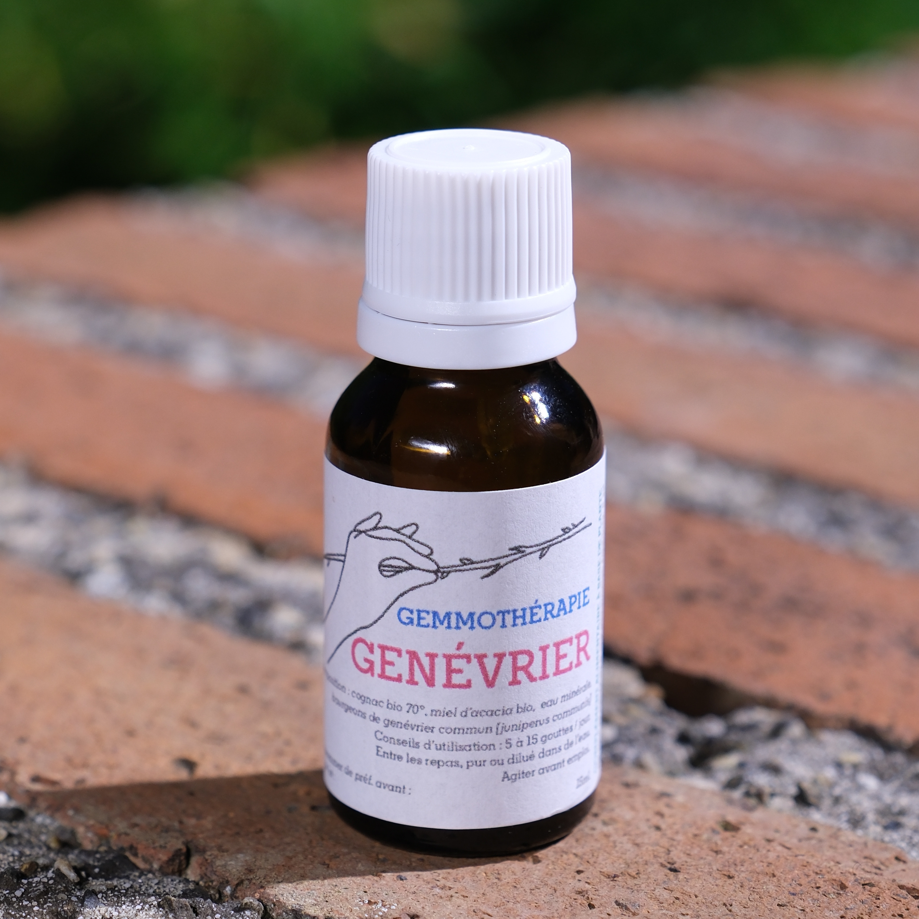 Genévrier • Draineur puissant foie/rein, Purification & Minceur - 15ml