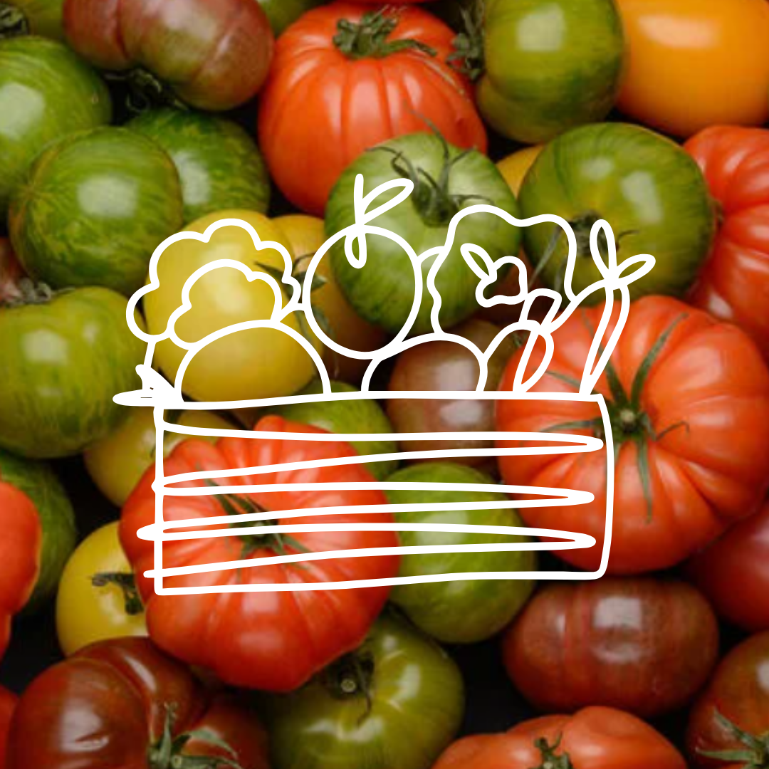 Tomates Anciennes Mixtes - 5kg