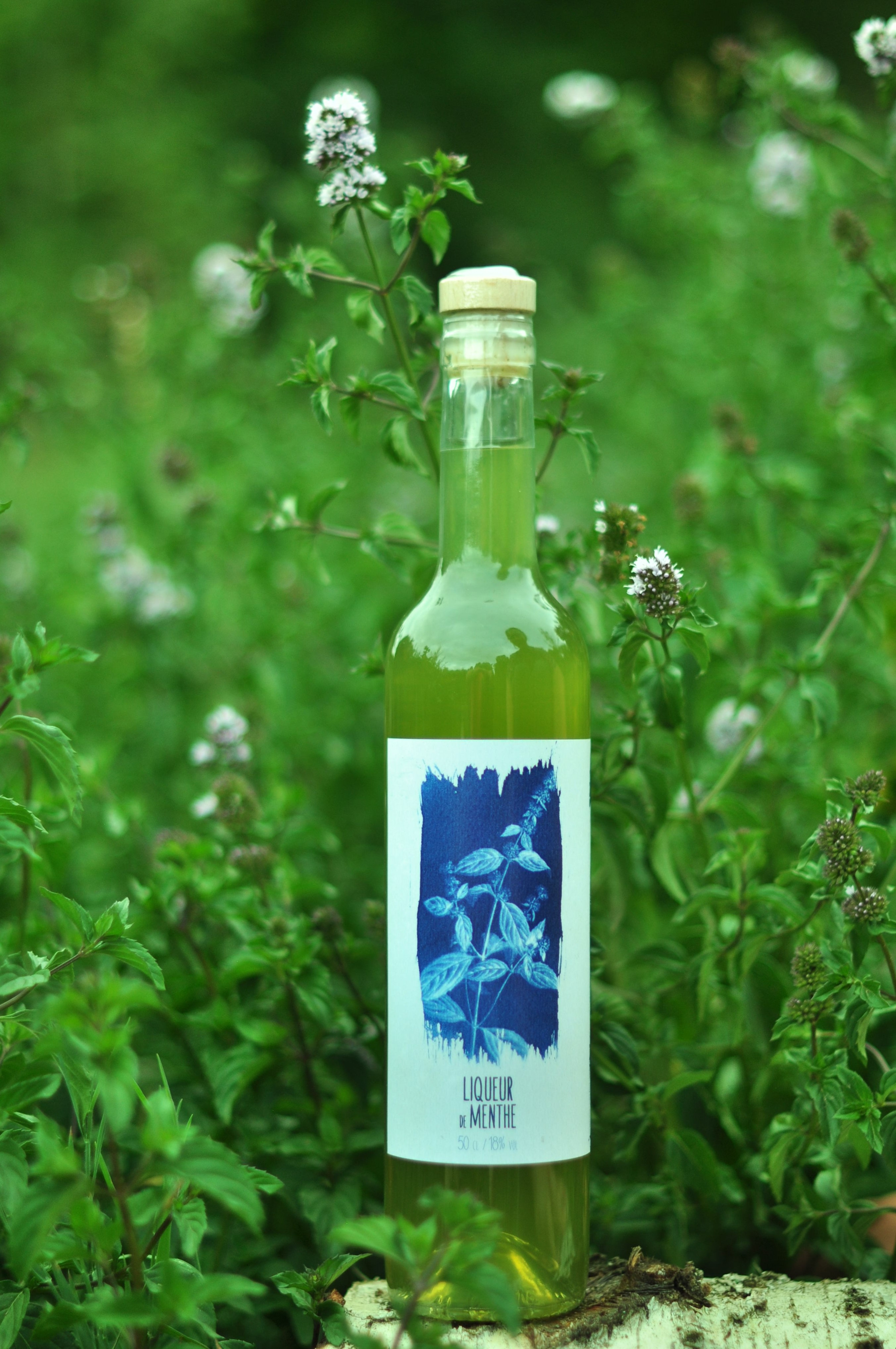 Liqueur de menthe 18&nbsp;% - 0,5cl