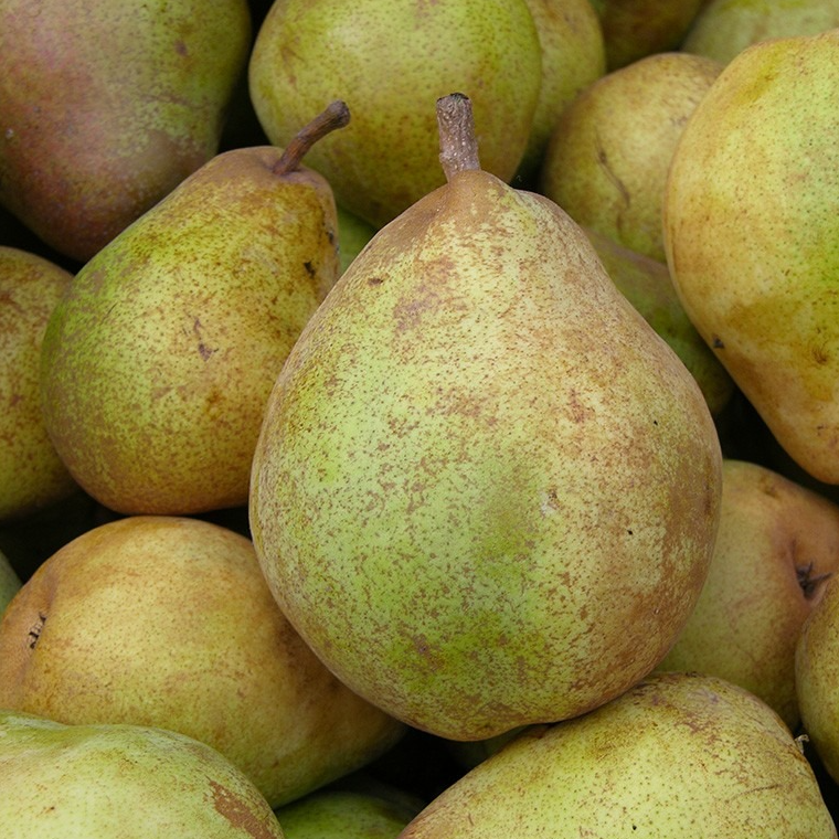 Poires COMICES le kg (origine: France)