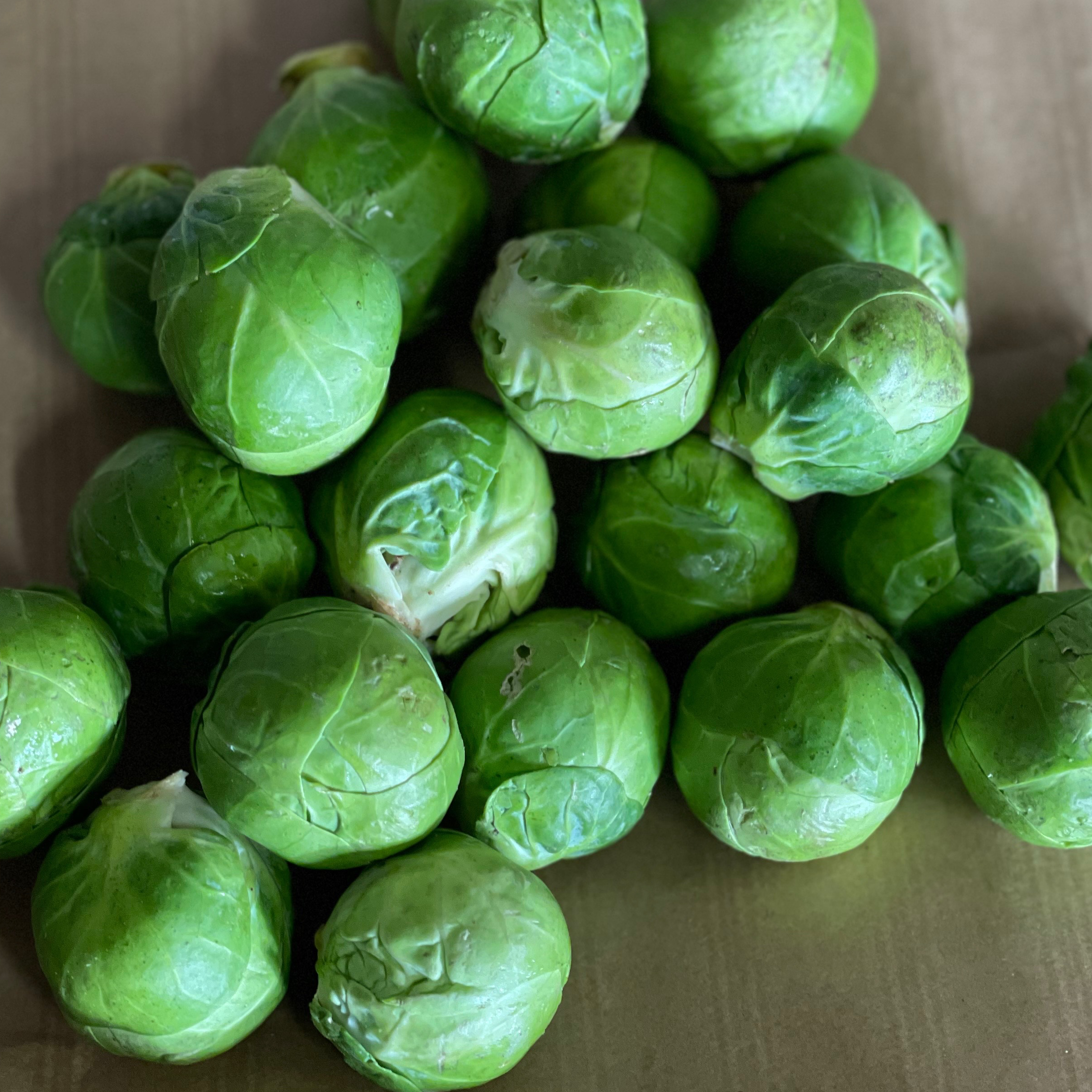 Choux de bruxelles 1kg - 1kg