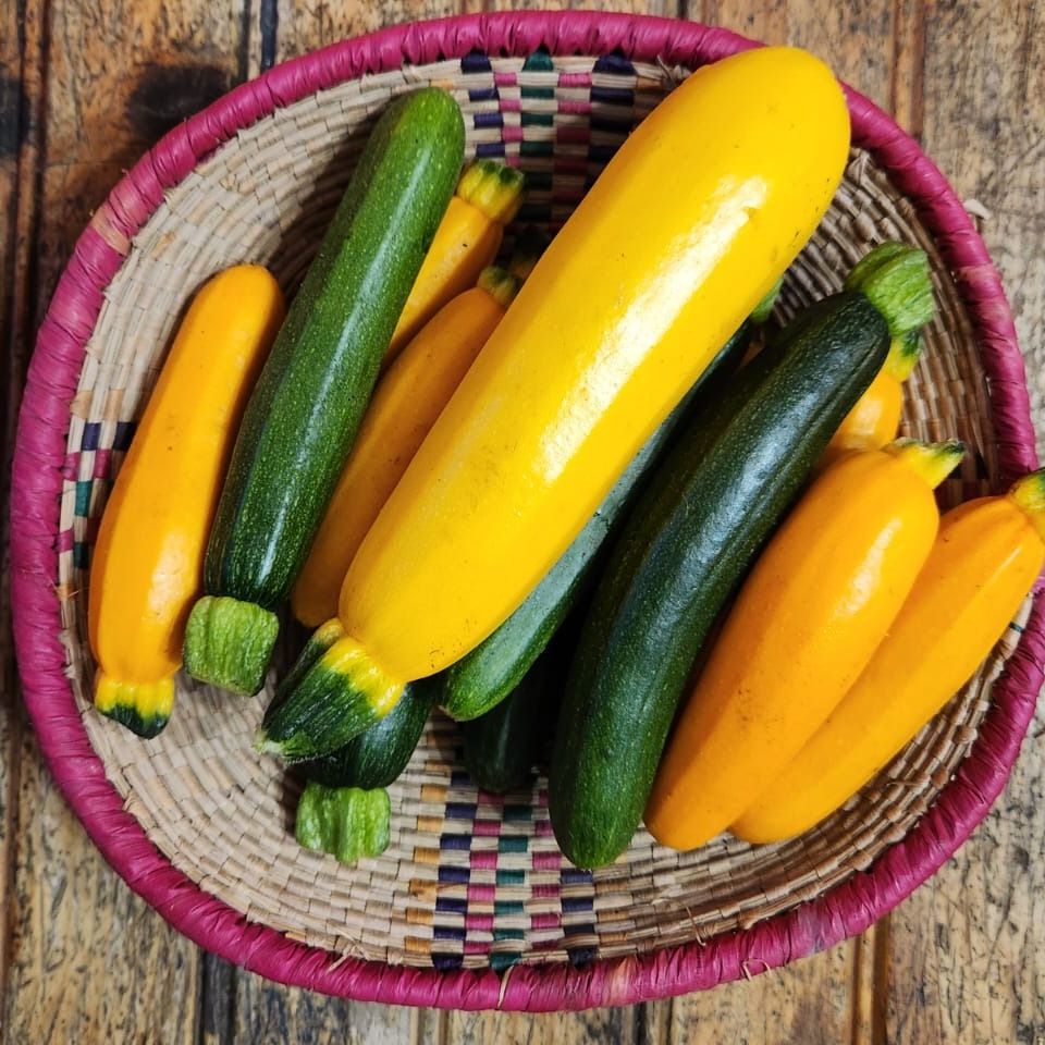 Courgette
