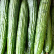 Concombre (pièce)