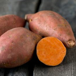 Plant - Patate douce