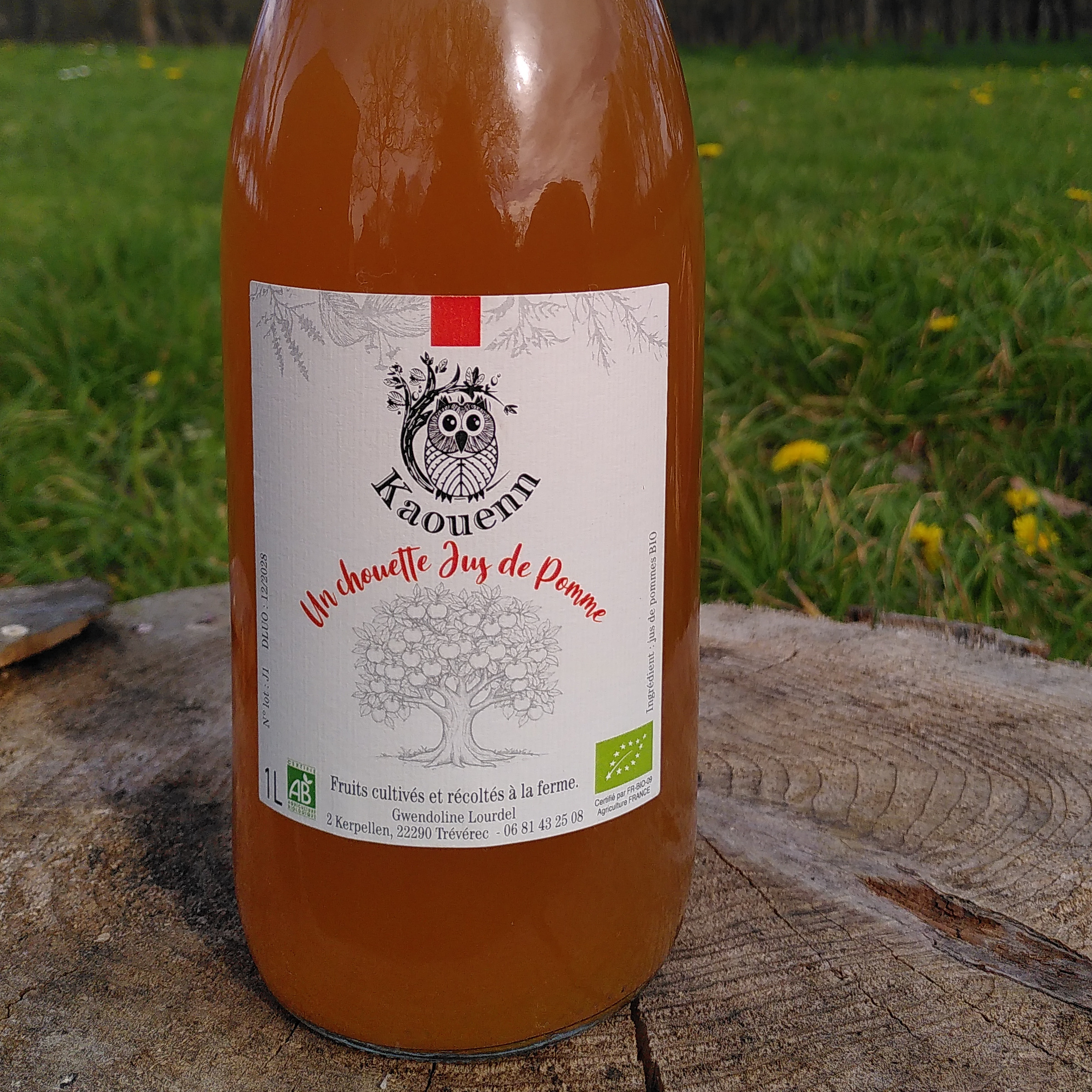 JUS DE POMME - 1l