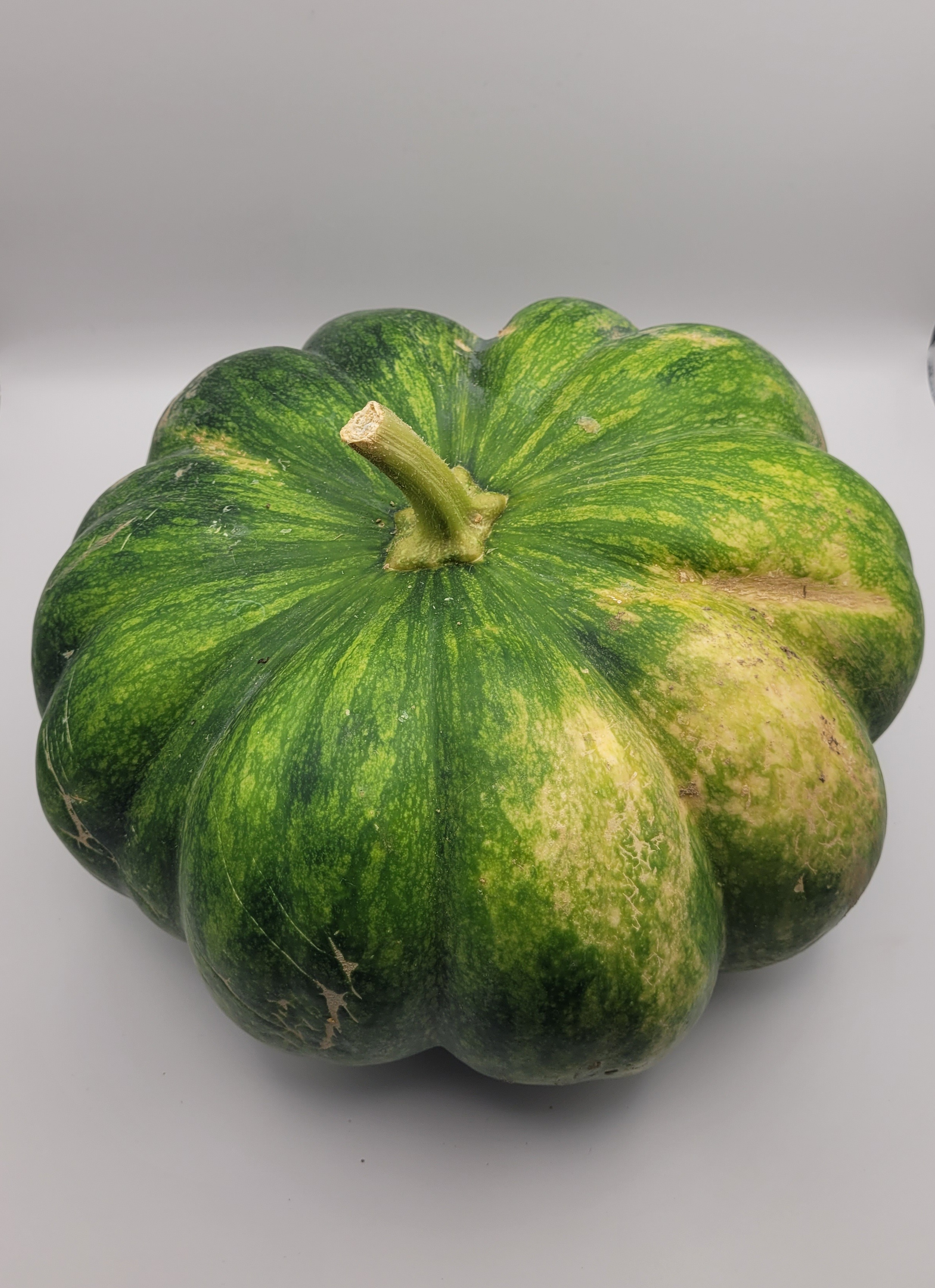Courge Musqué  6 KG - 6kg