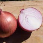 Oignon Rouge 1 kg