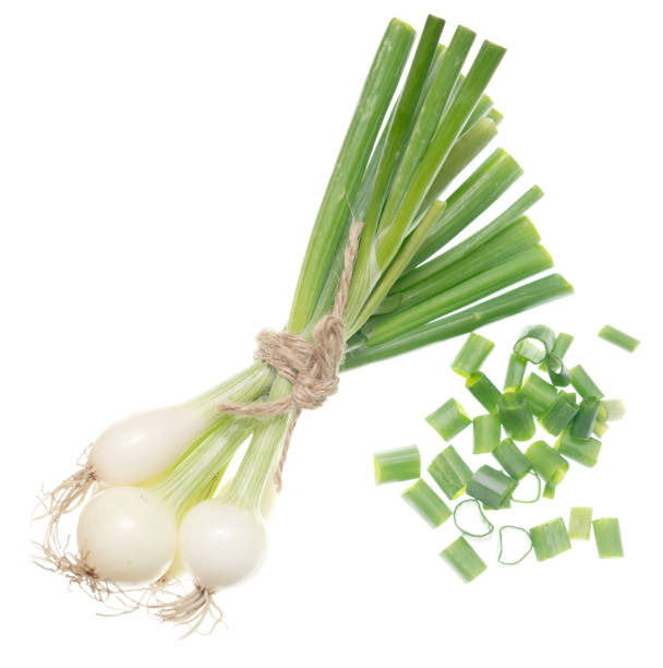 Oignon Blanc Botte