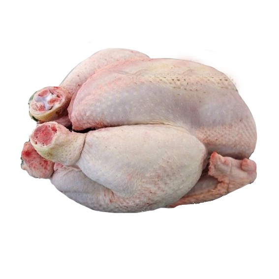 Coq de la ferme