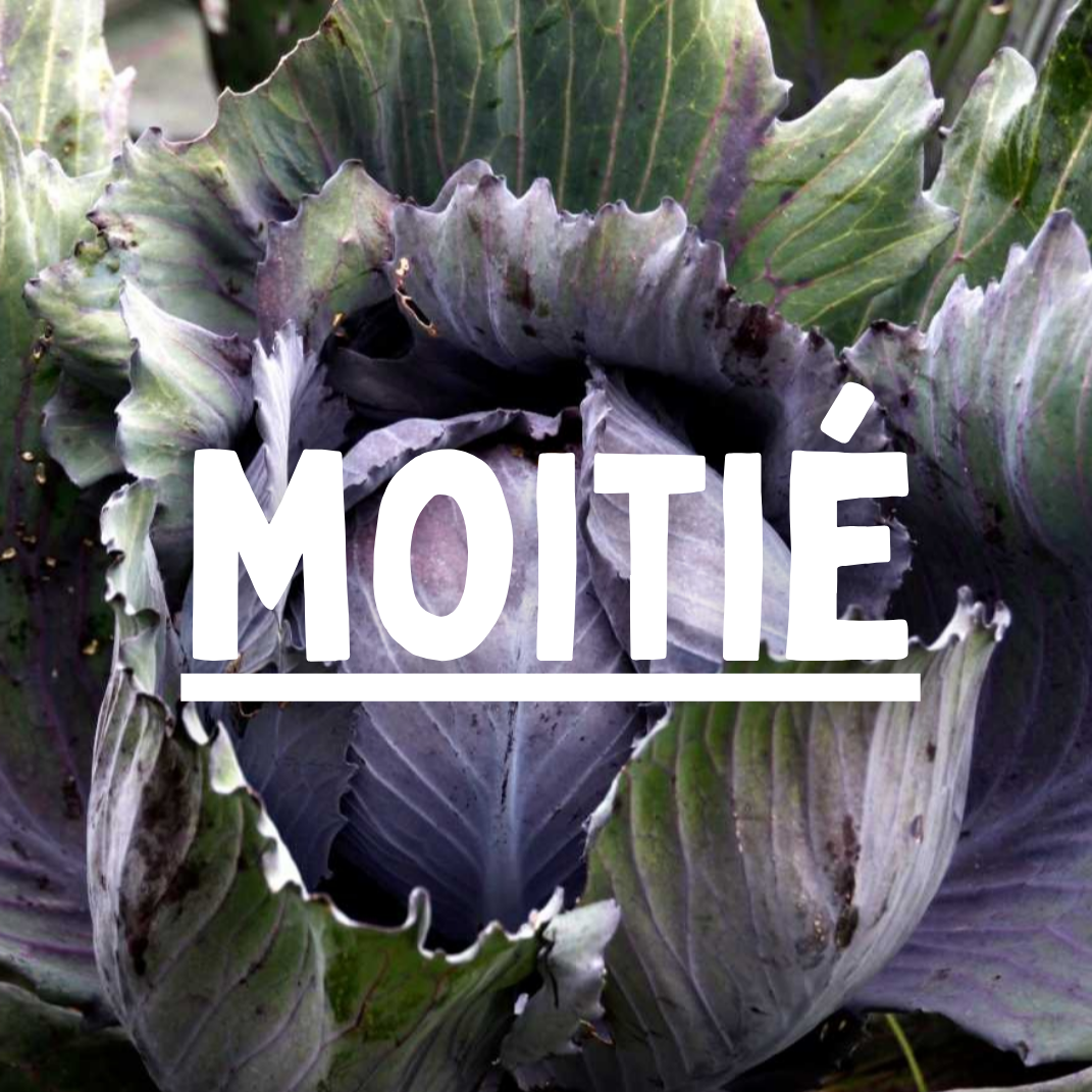 Chou rouge - moitié