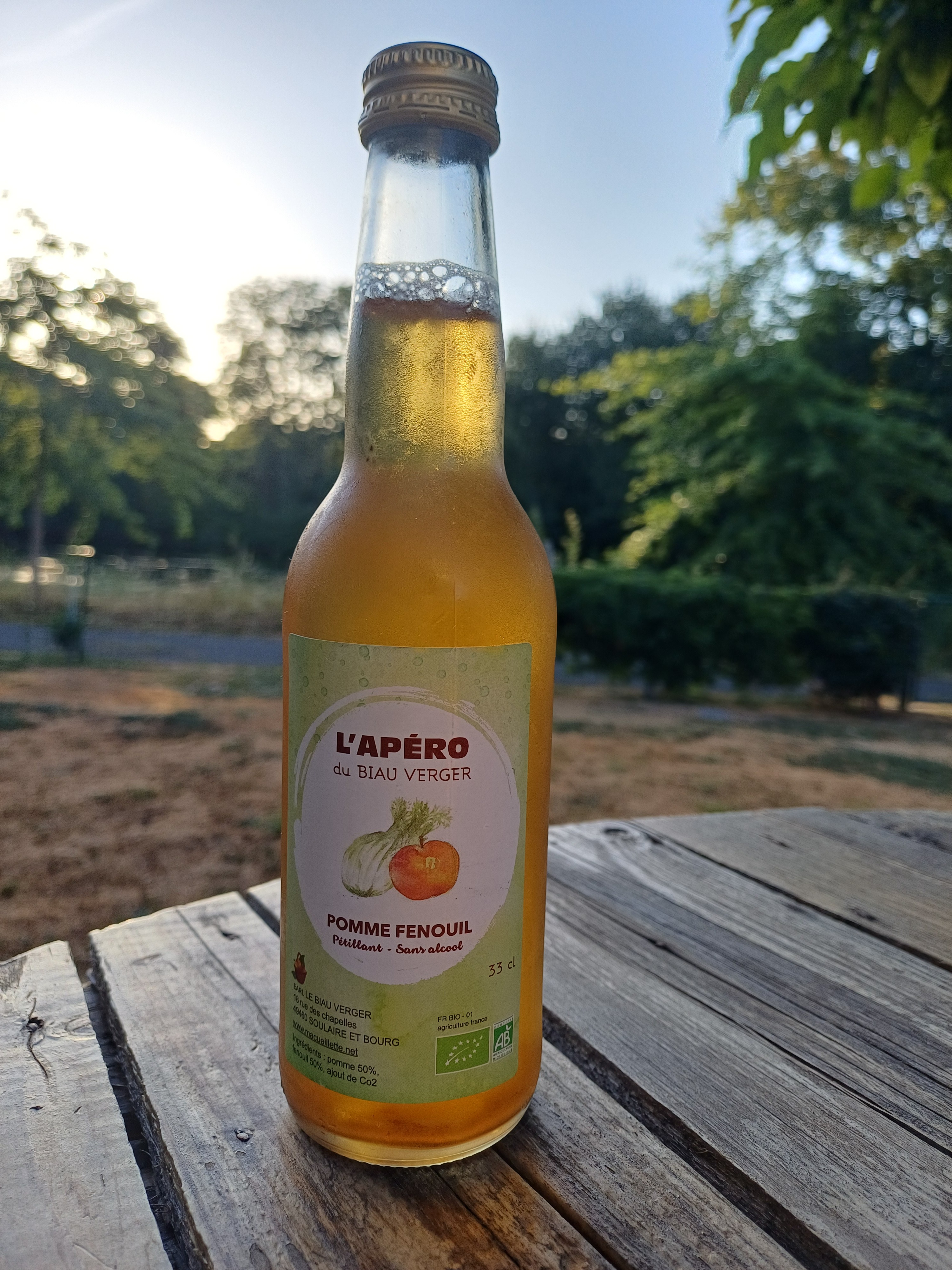 Jus pétillant apéro - 33g