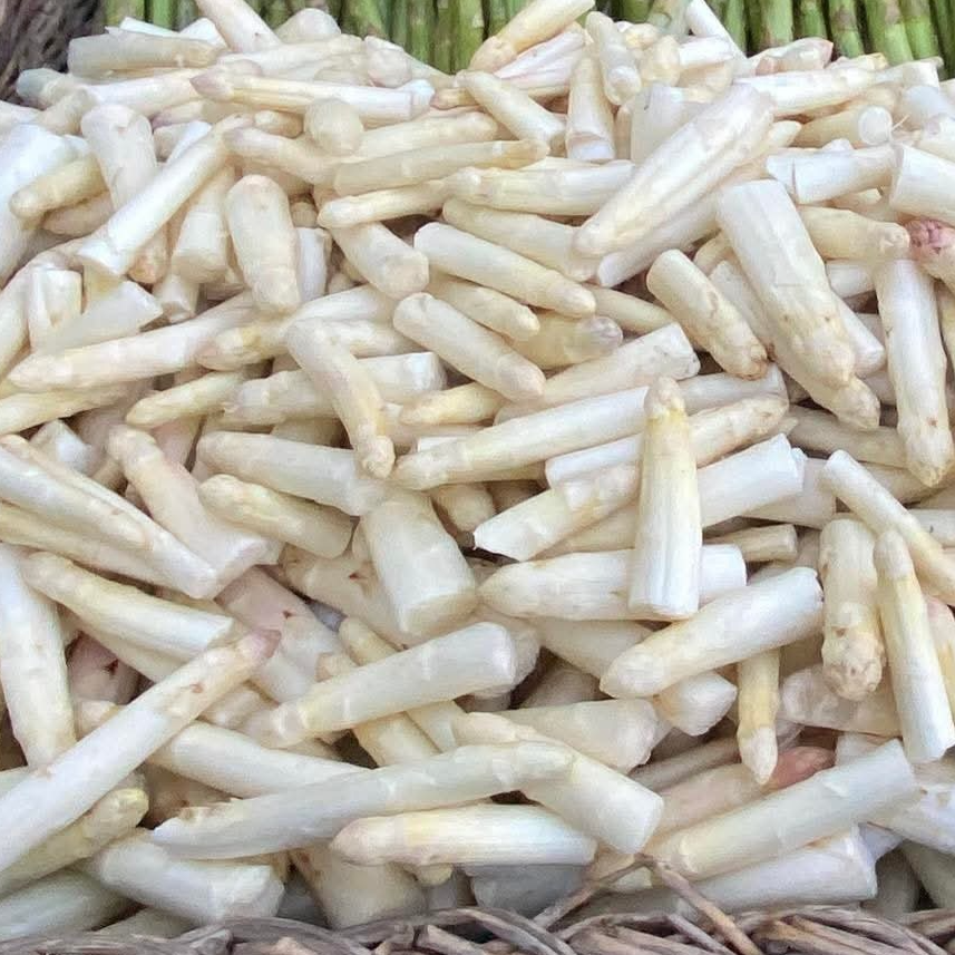 TETE ASPERGE BLANCHE