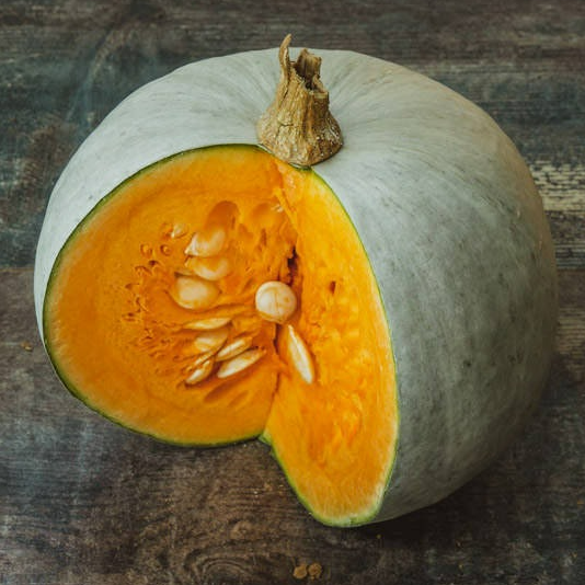 Courge "bleu de hongrie" Bio