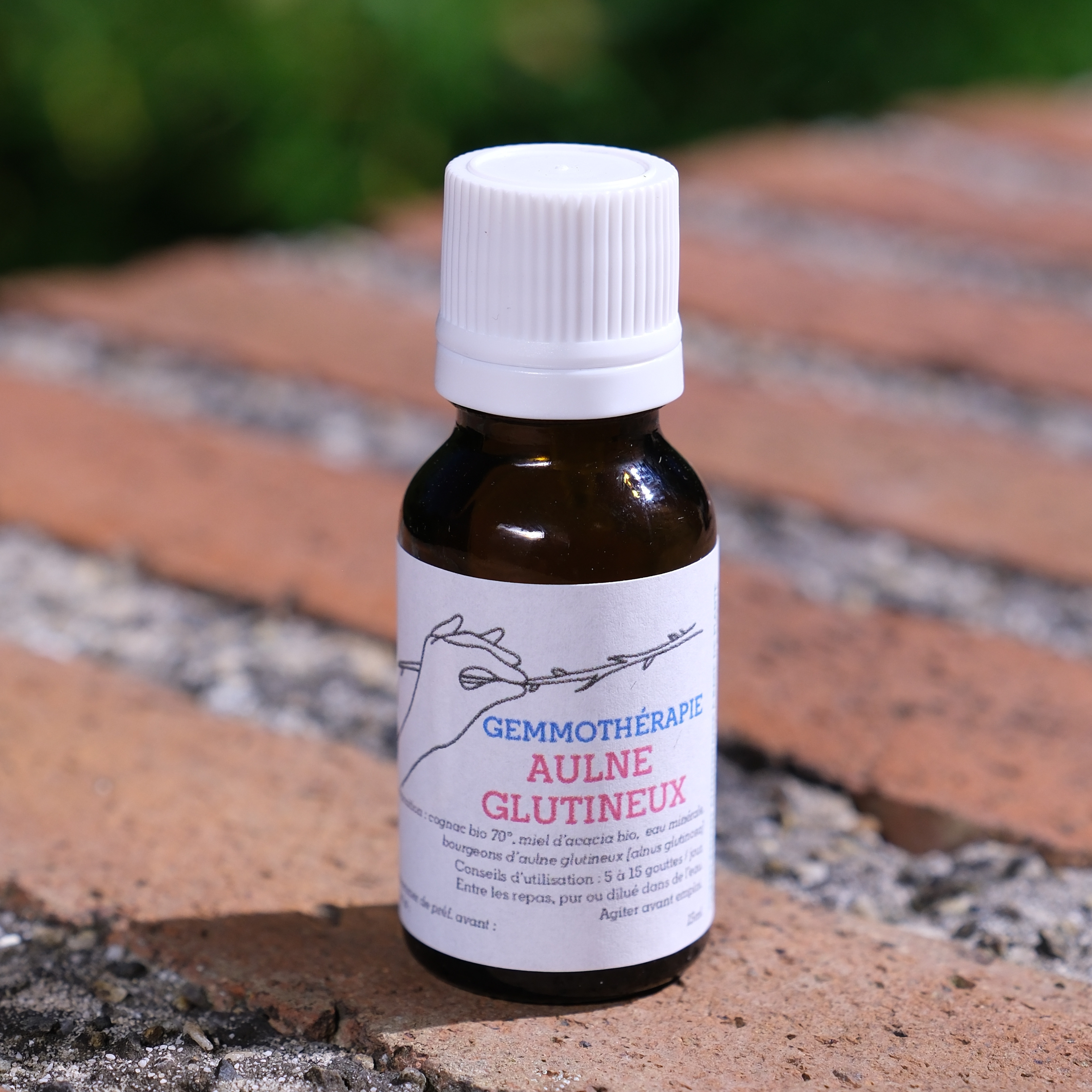 Aulne glutineux • Immunité, Inflammation circulatoire et respi. - 15ml