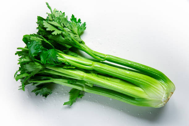 Celeri Branche