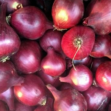 Oignons rouges - 500g