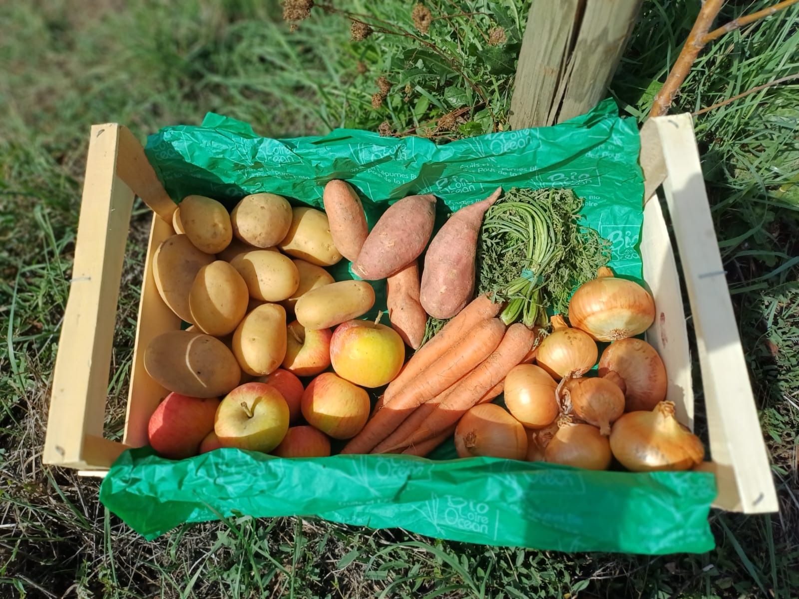 Grand Panier