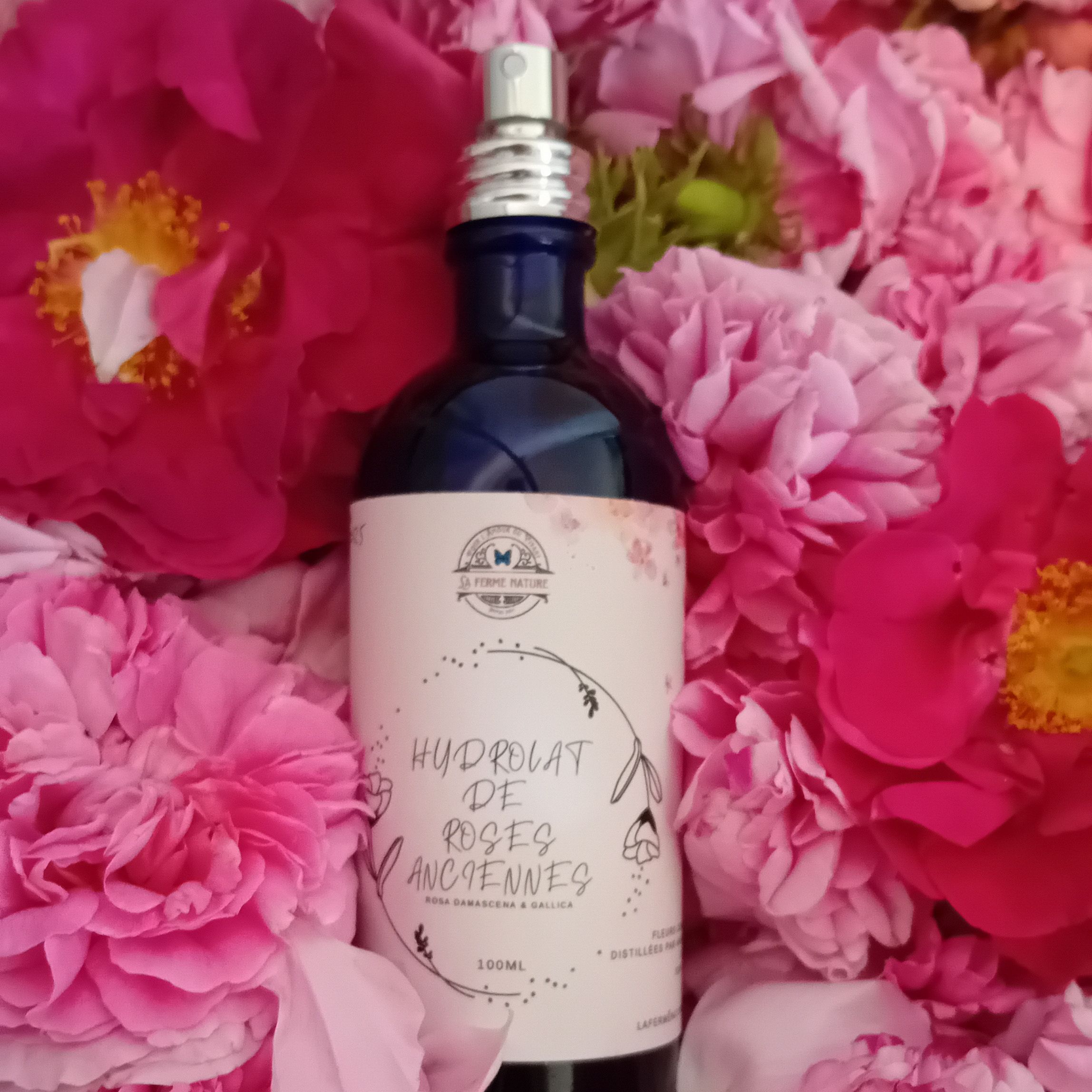 Hydrolat de Roses Anciennes - 100ml