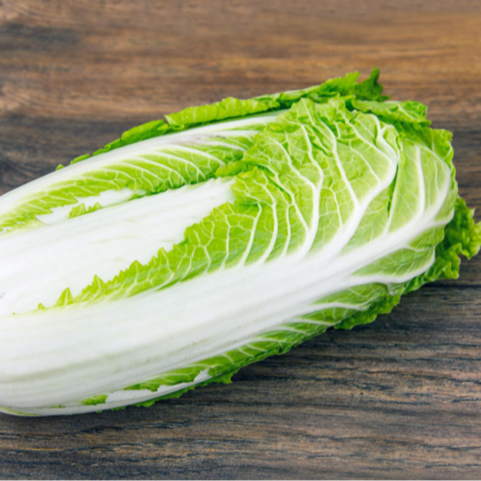 Chou chinois Petsaï