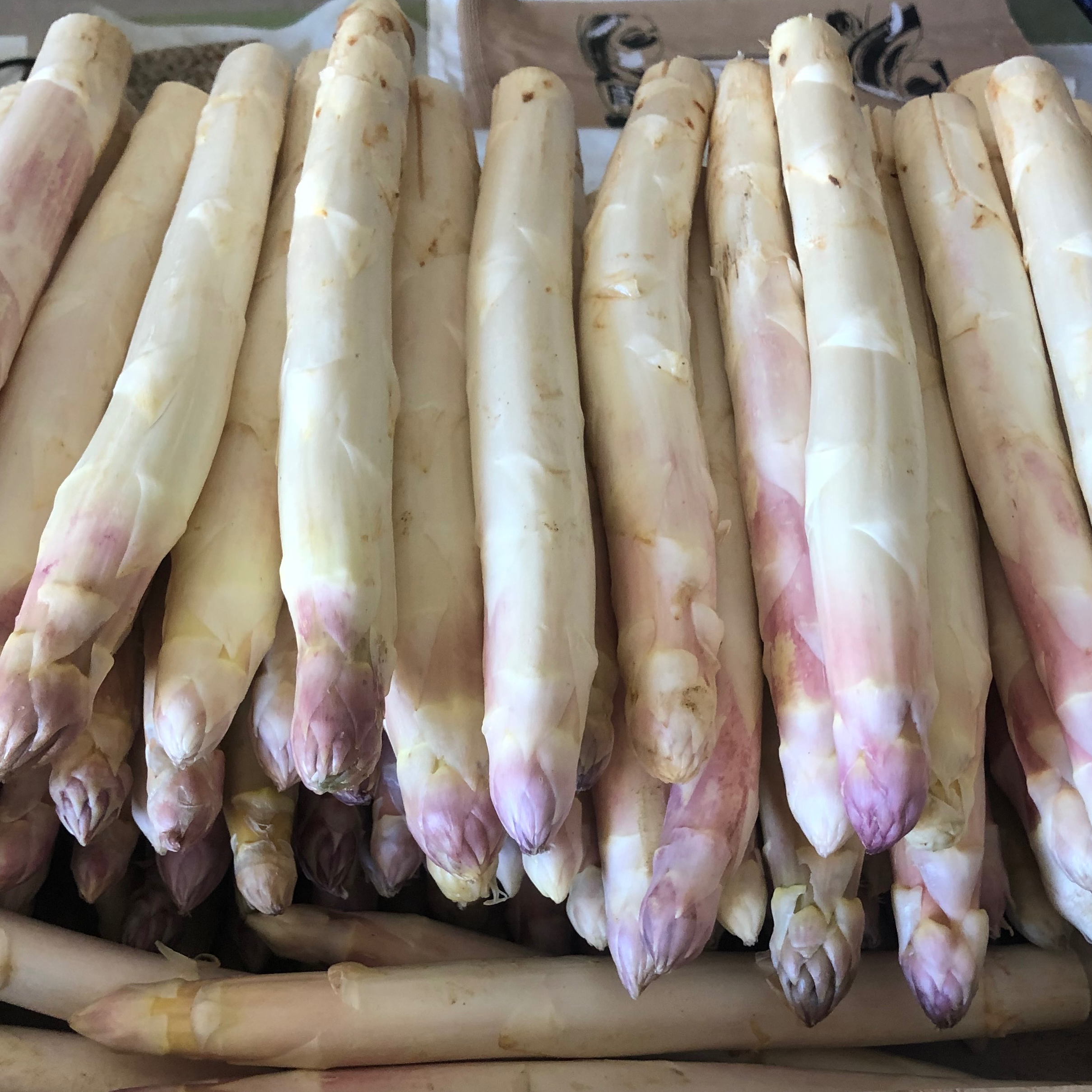 Offre Asperges blanche 2KG