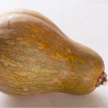 Courge sucrine du Berry