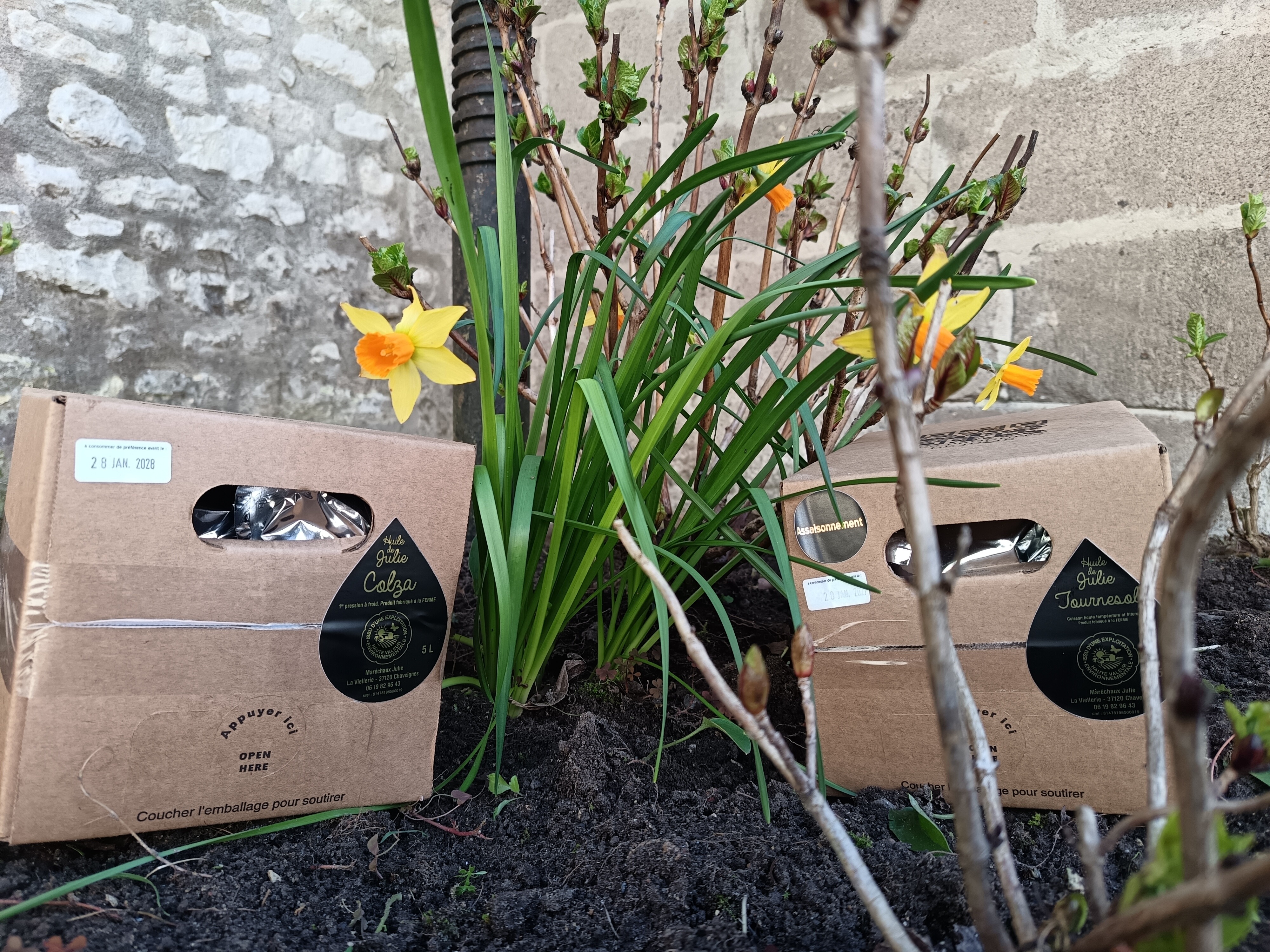 BIB 5 L d' Huile Colza Assaisonnement - 5l