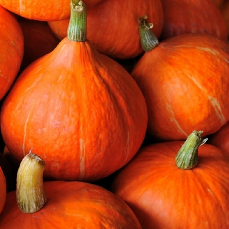 Potimarron petit calibre