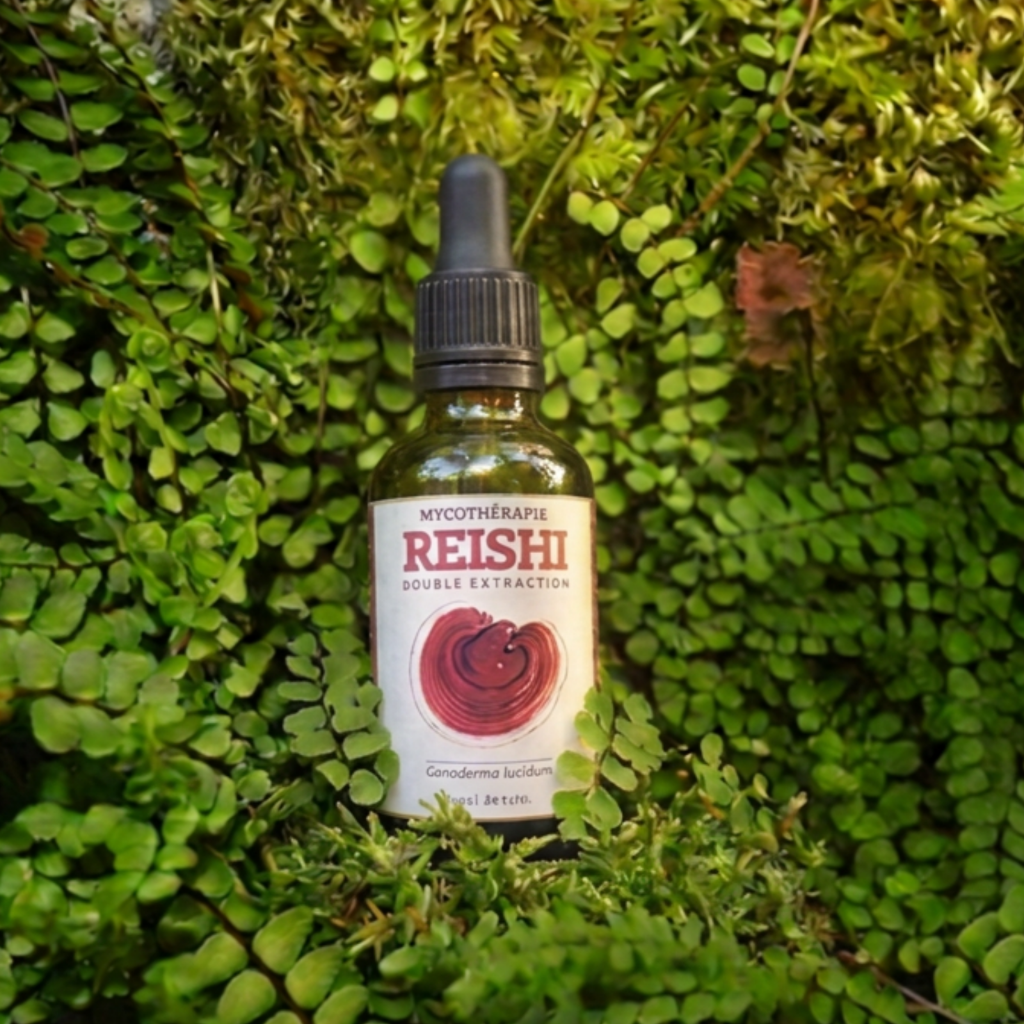 Extrait de Reishi - 30ml