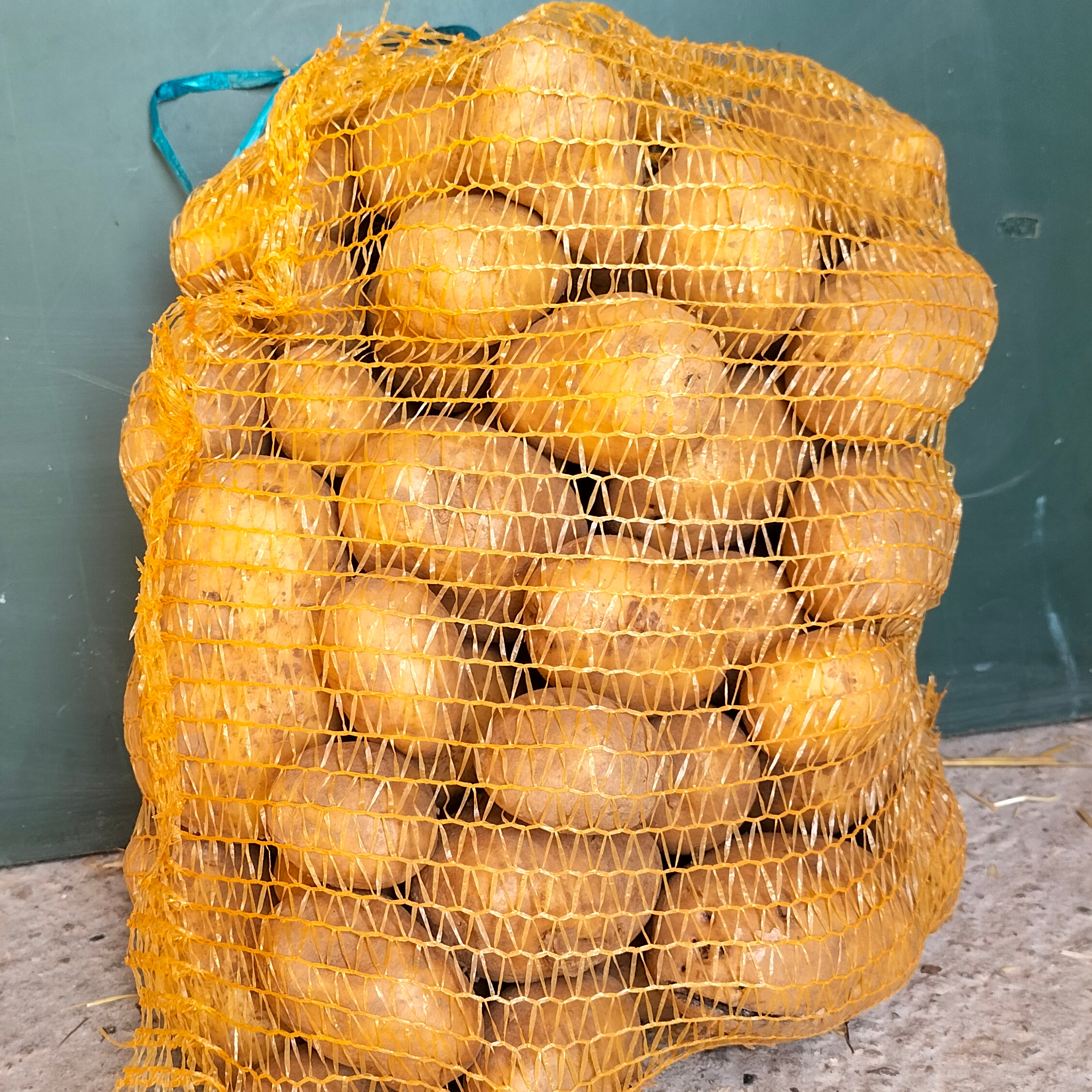 Sac de pommes de terre Agata - 10kg
