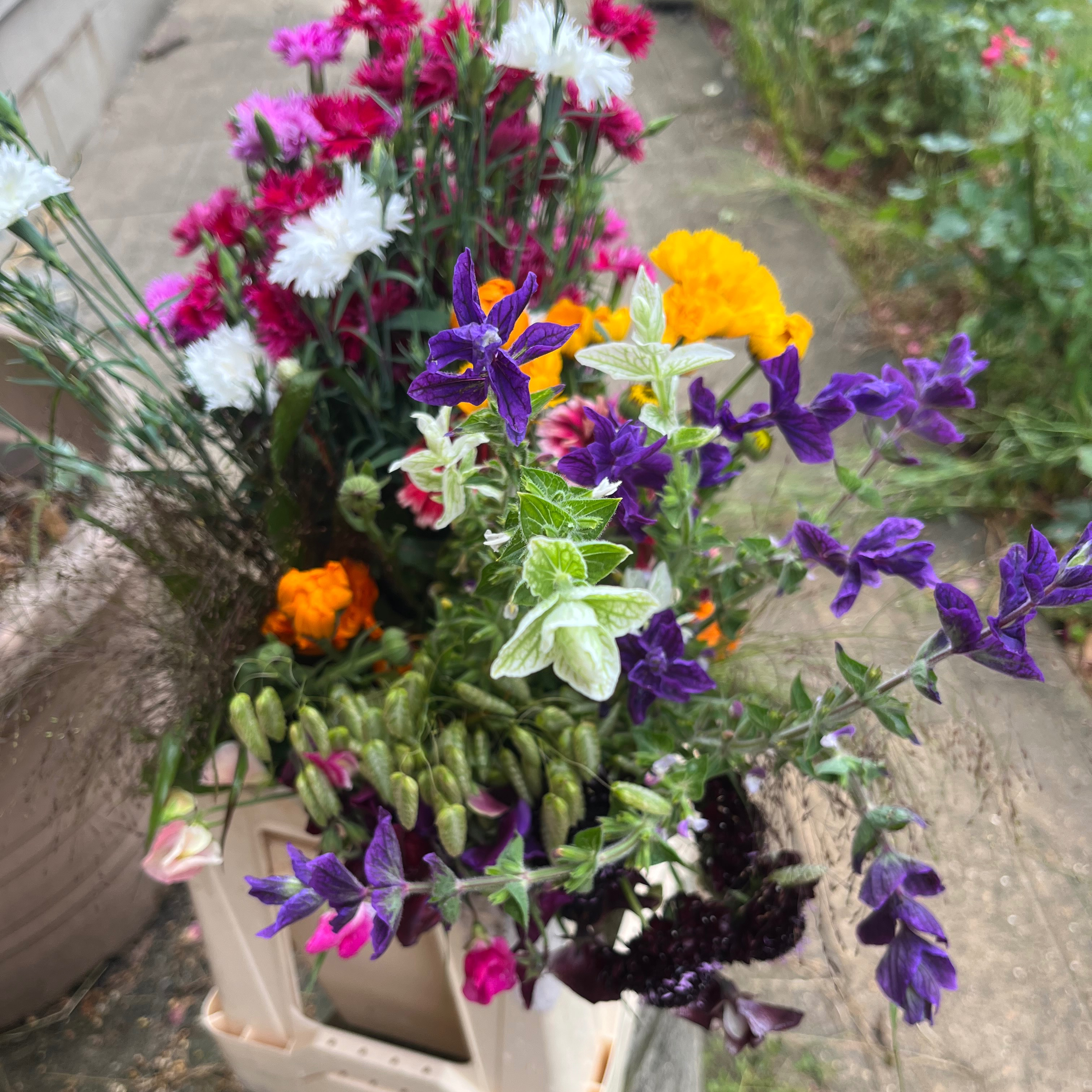 SEAU DE FLEURS DE SAISON - Taille S