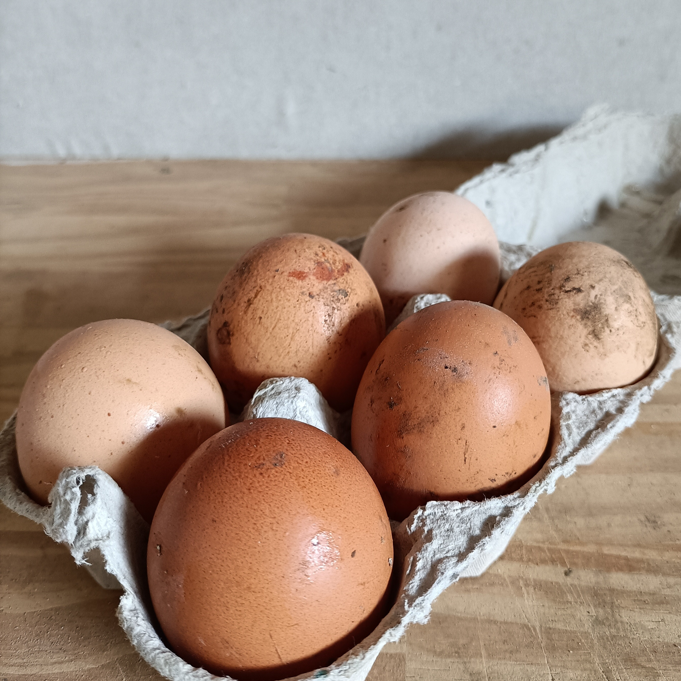 Oeuf les 6