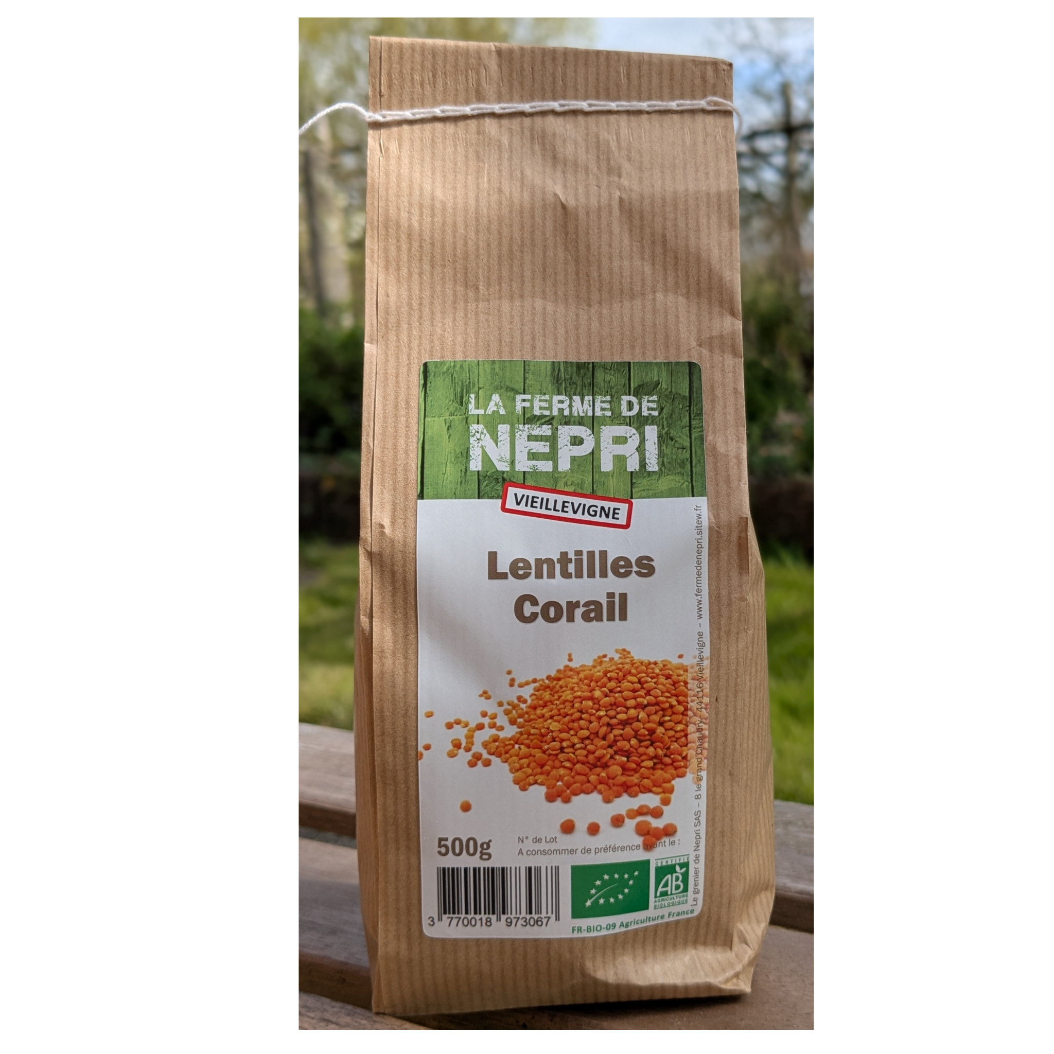 Lentilles corail - 500g
