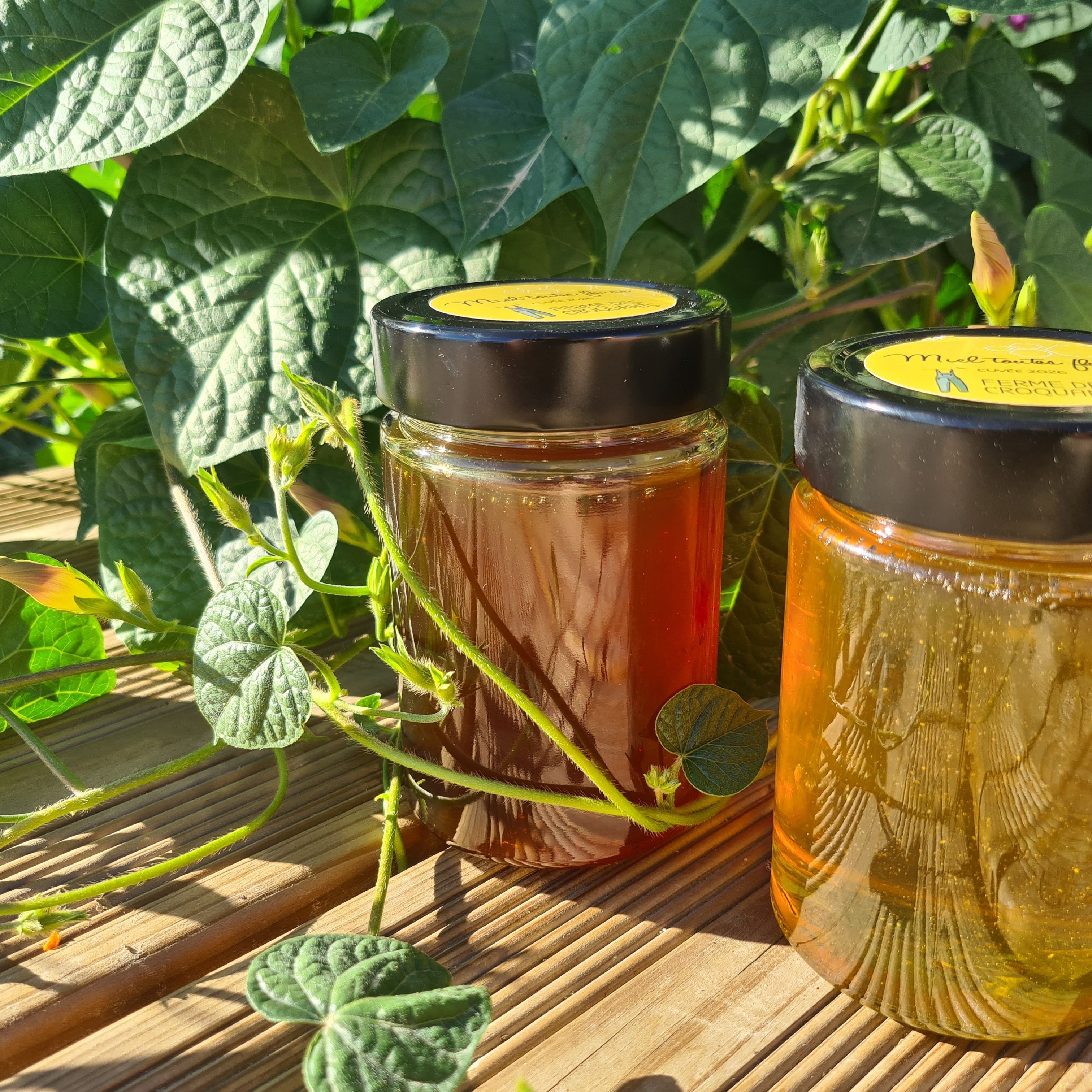 Miel d'été 🐝🌸 - 0,4kg