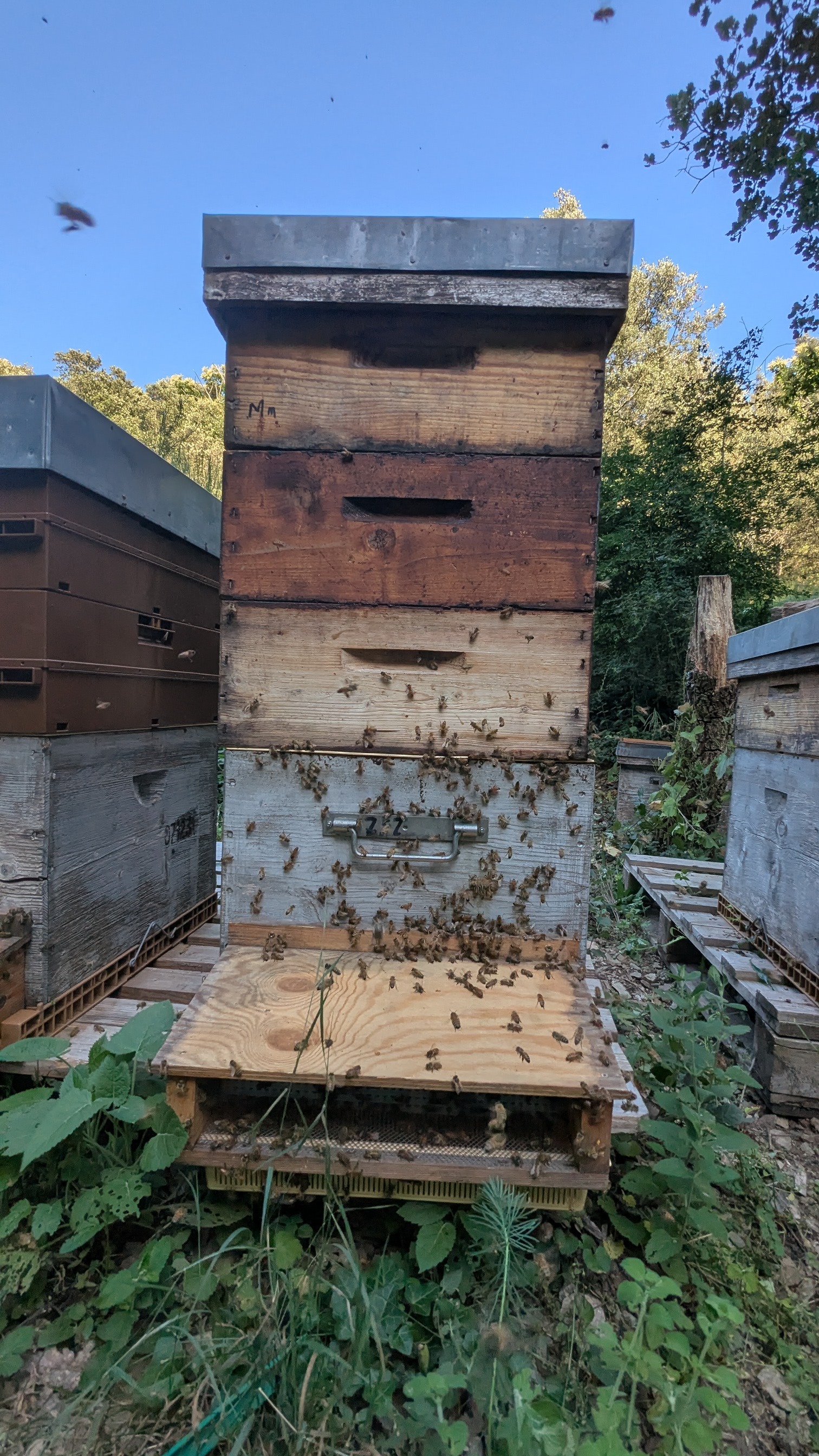 Aux abeilles citoyen.ne !