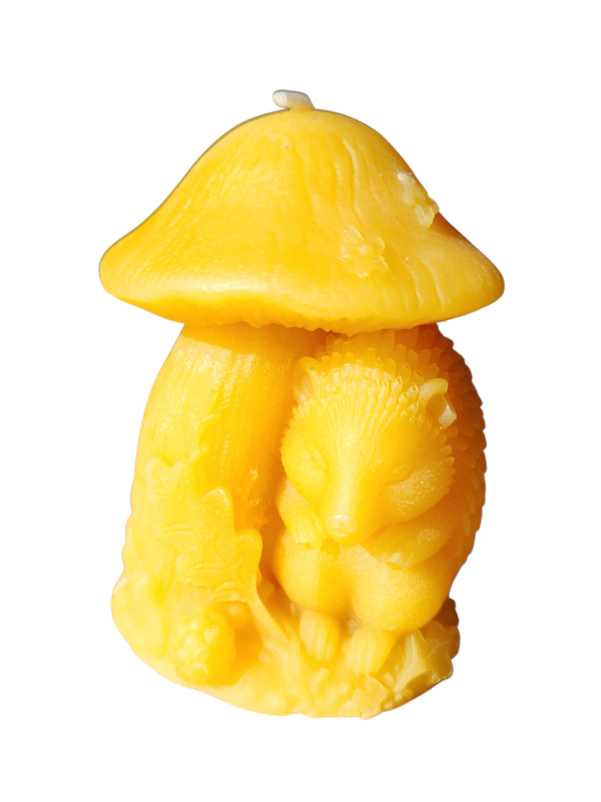 Bougie hérisson sous un champignon