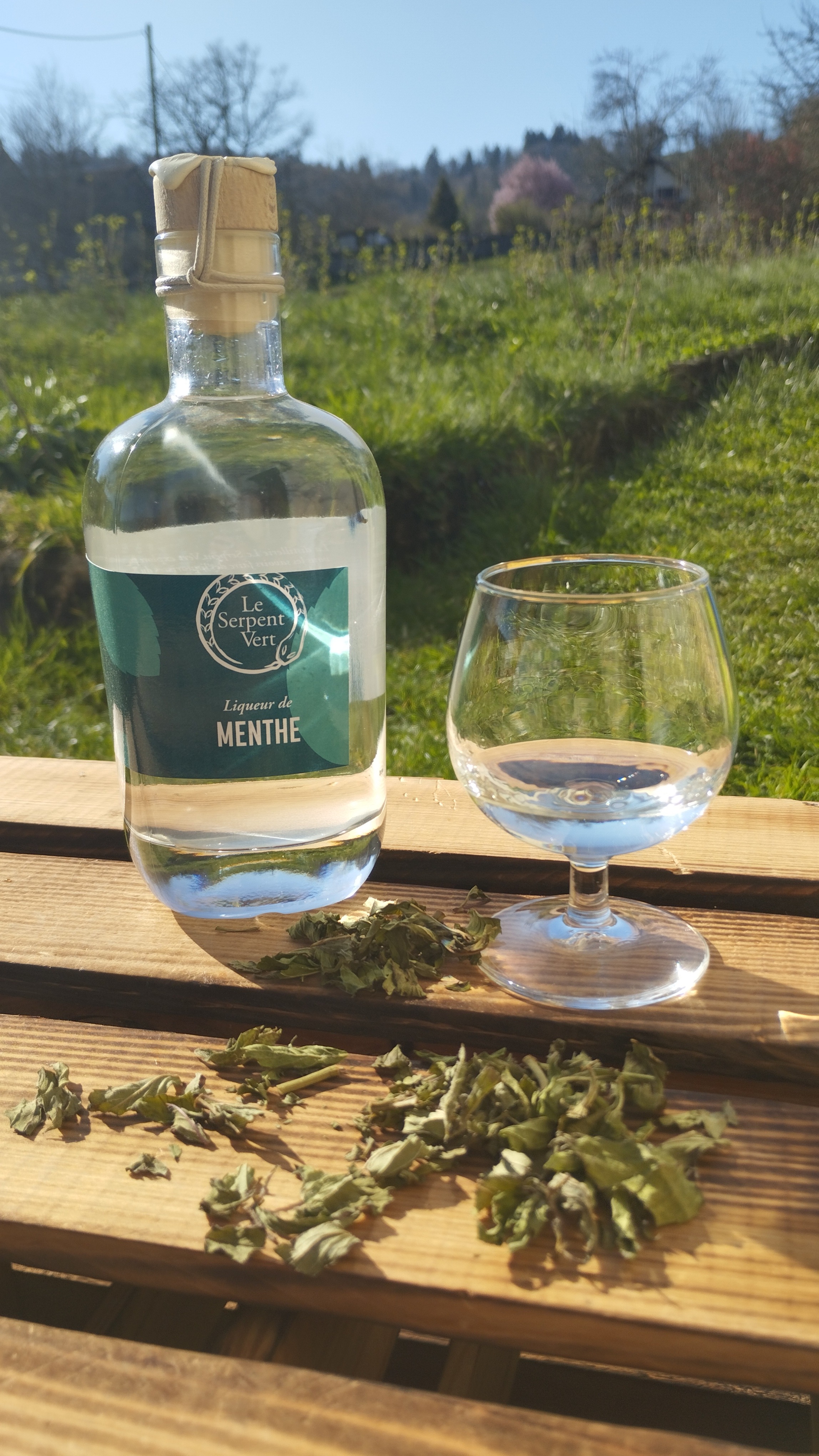 LIQUEUR MENTHE - 35cl