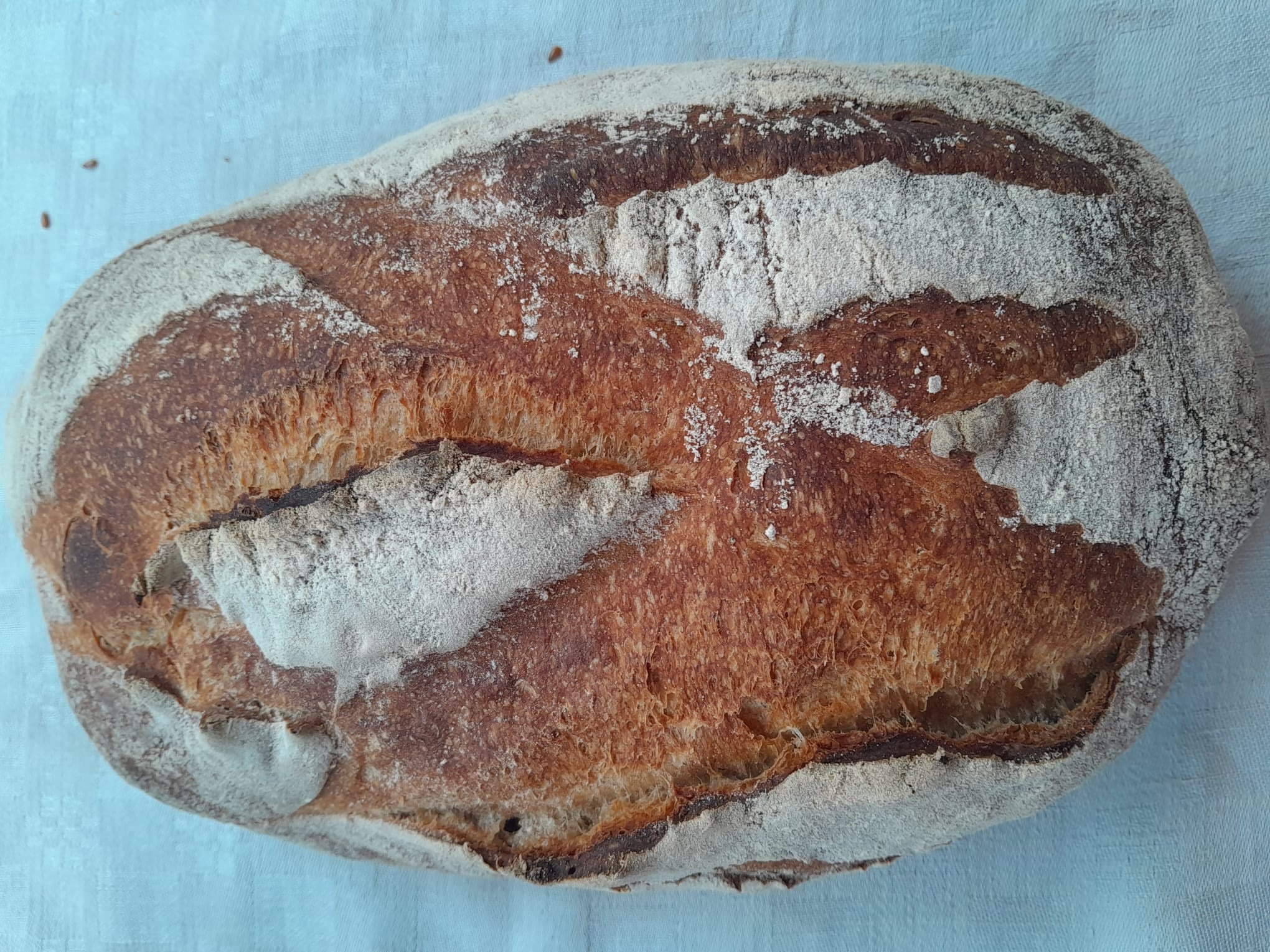 Pain de campagne - 1kg