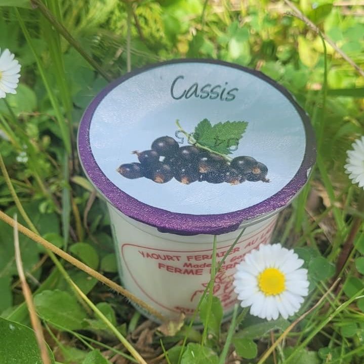 YAOURT AROMATISE CASSIS - 12cl