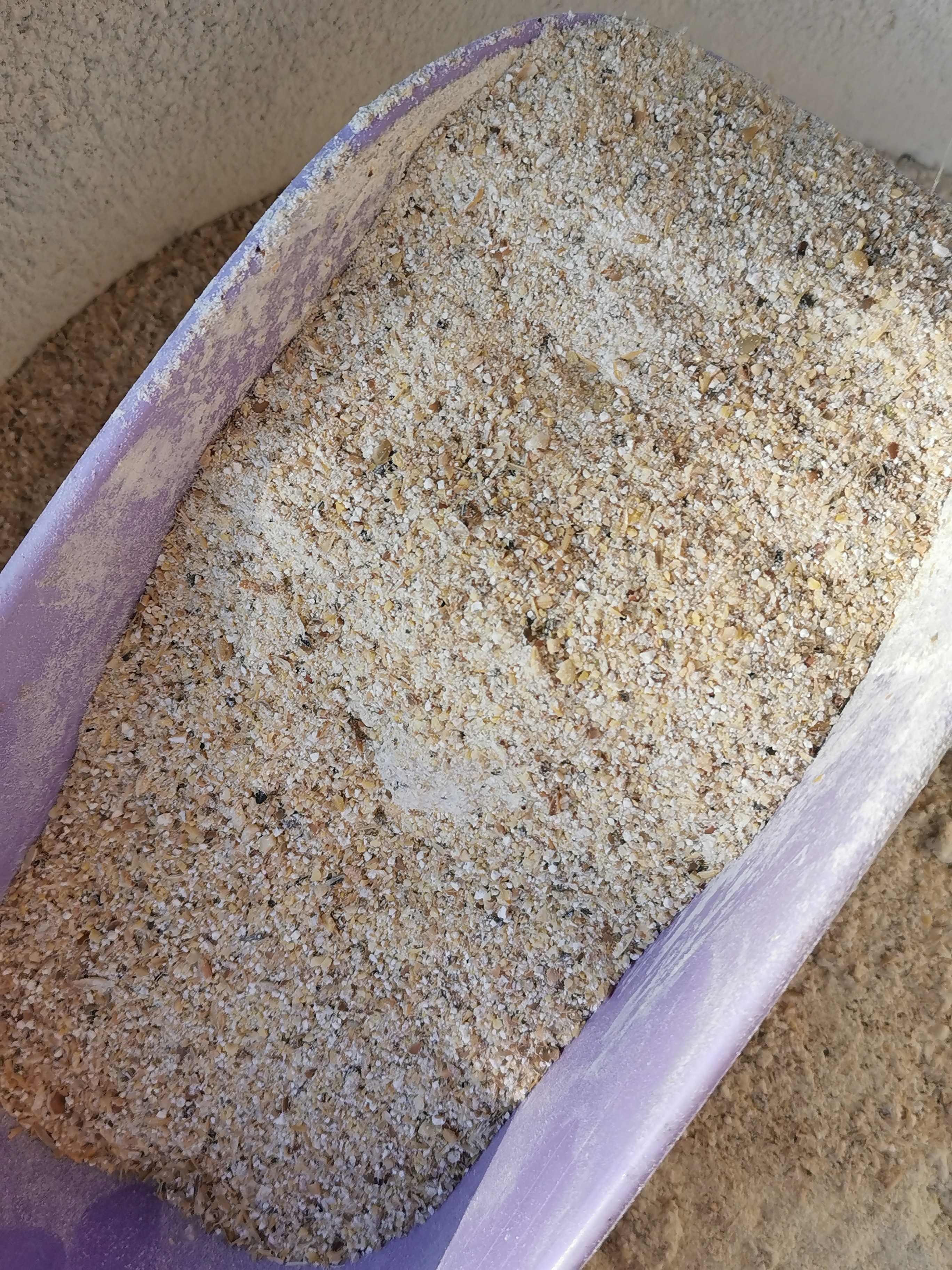Aliment concassé pour Poule Bio