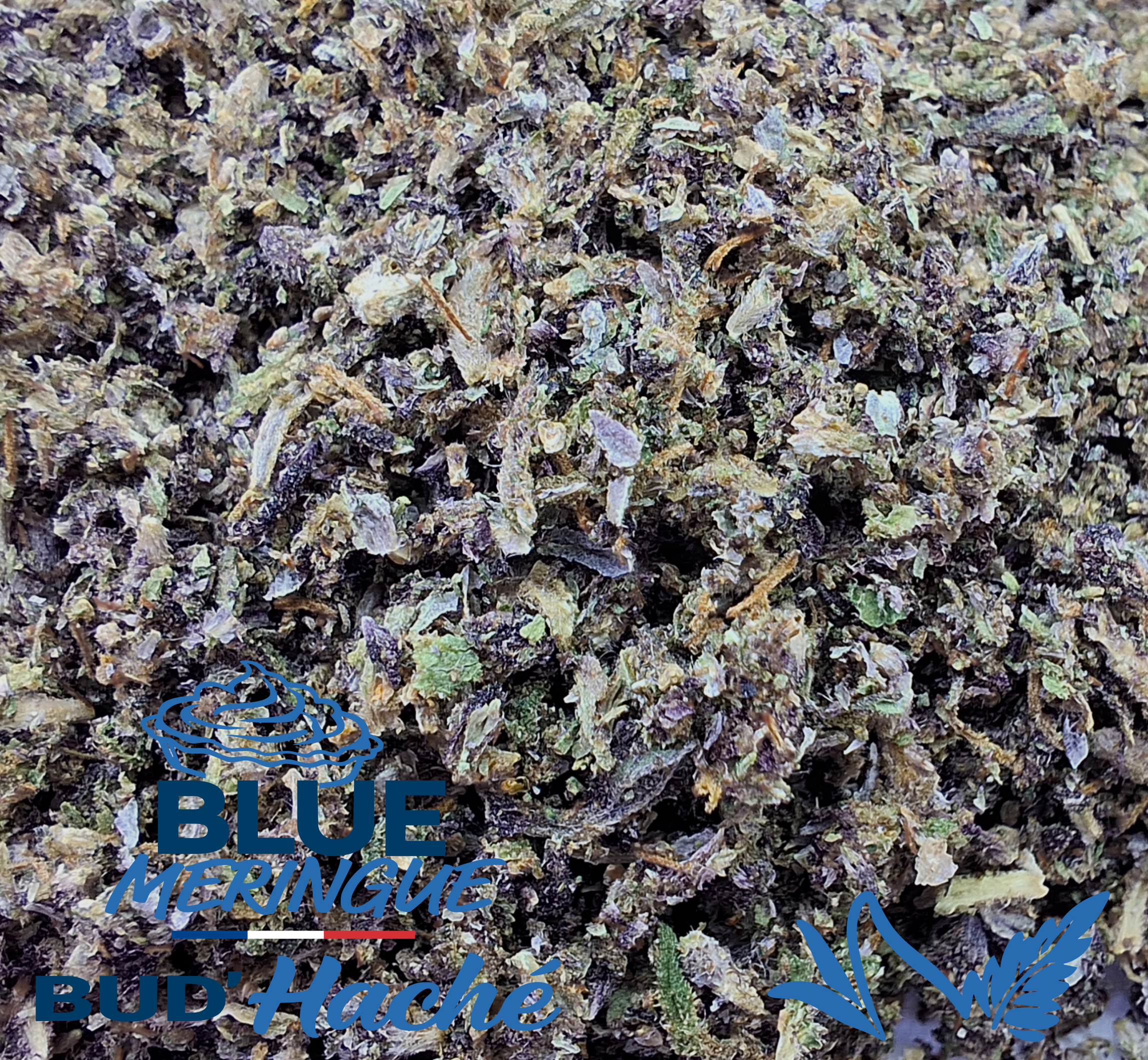 BLUE MERINGUE BUD'HACHÉ 100% FLEURS
