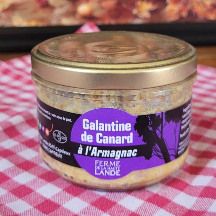 GALANTINE A L'ARMAGNAC