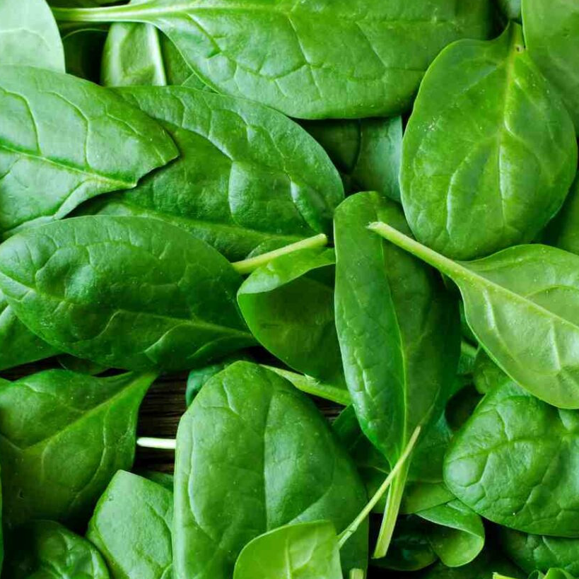 Epinard frais (100gr)