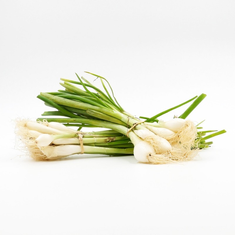 Oignon blanc (botte)