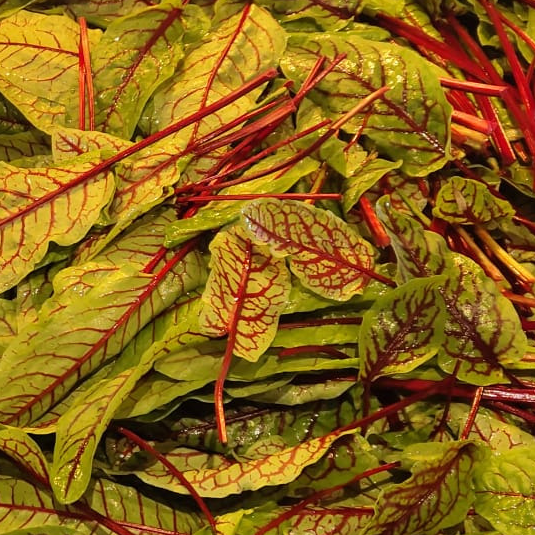 Oseille rouge - 300g