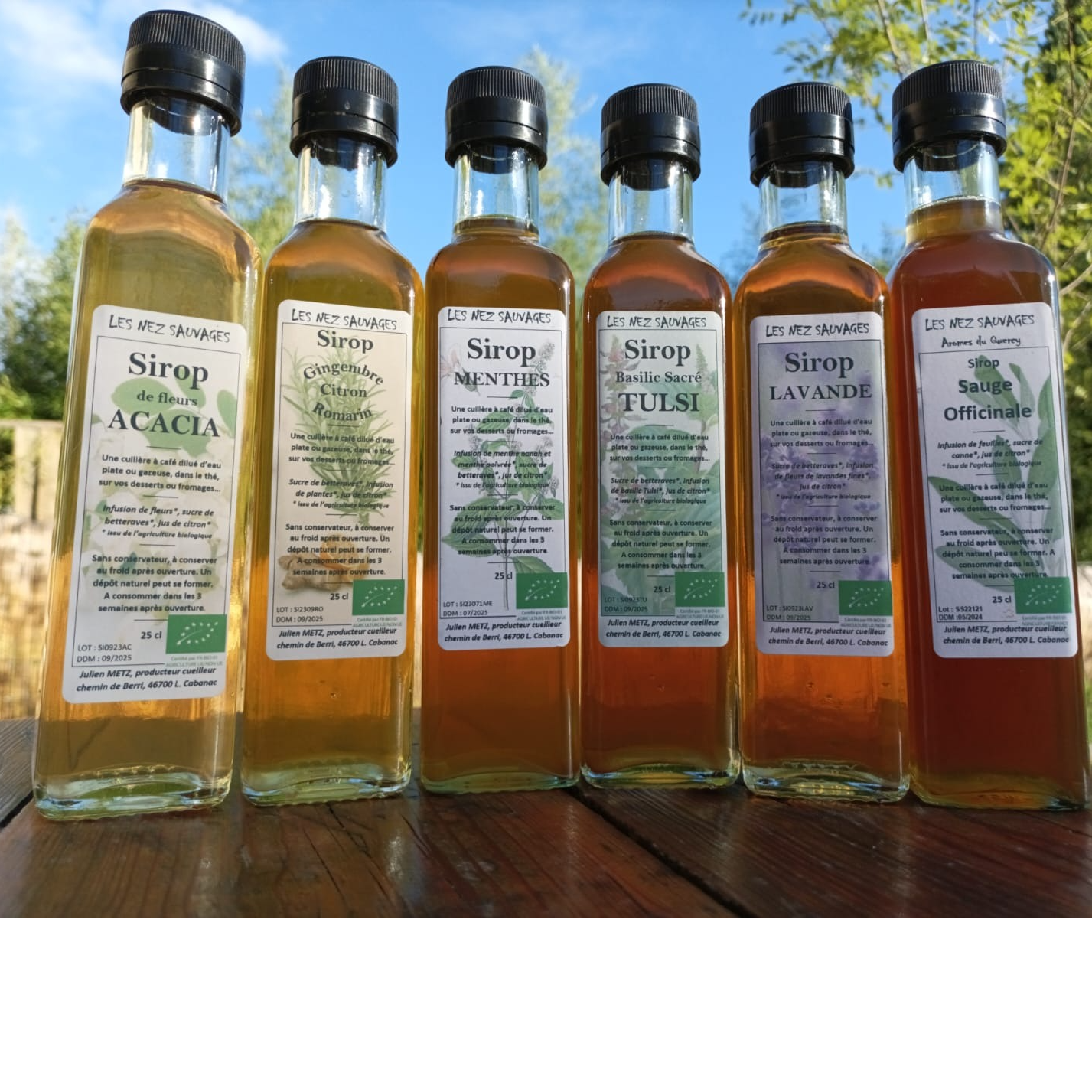 Sirop de basilic sacré Tulsi - 250ml