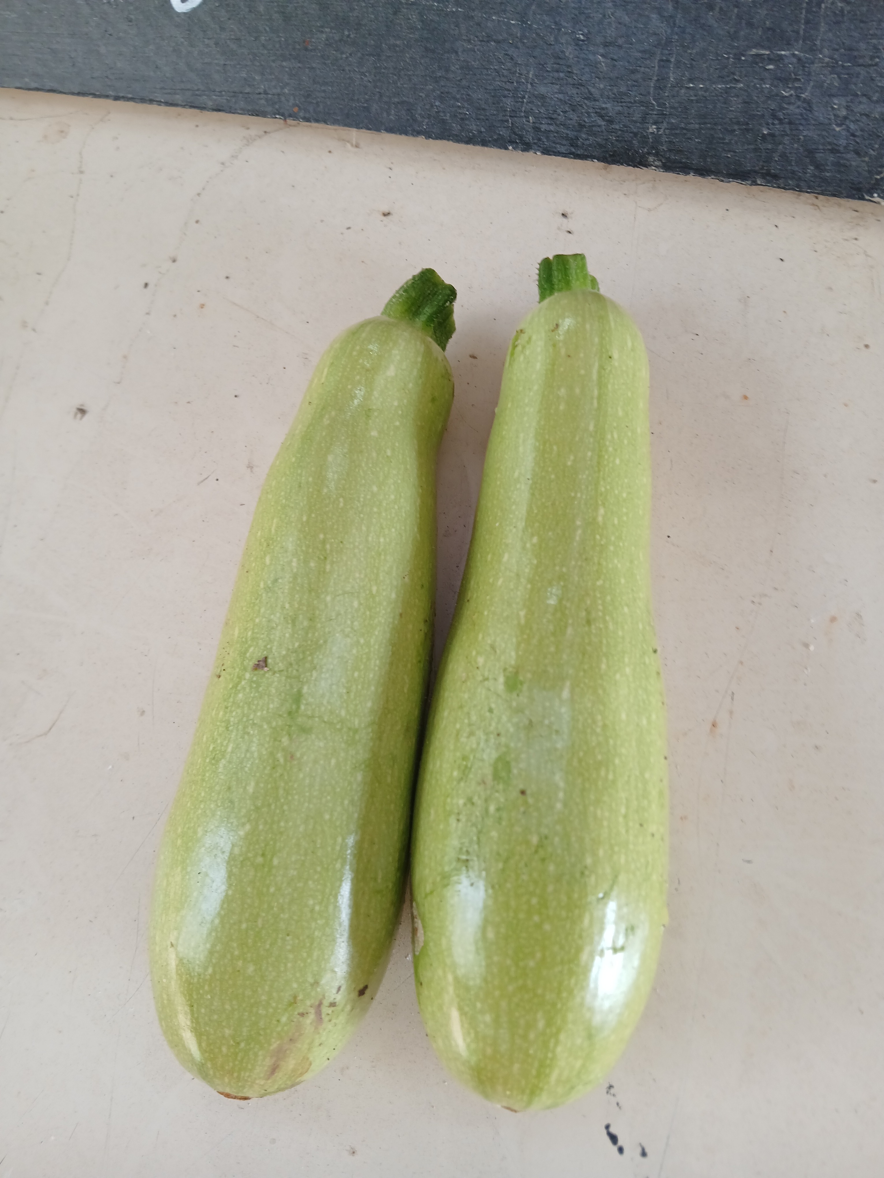 Courgette blanche