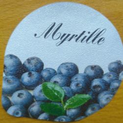 Yaourt MYRTILLE 125g - (L'ESPRIT NORMAND)- revente - 125g