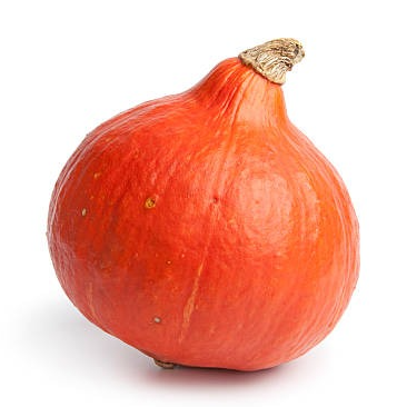 Courge - Potimarron