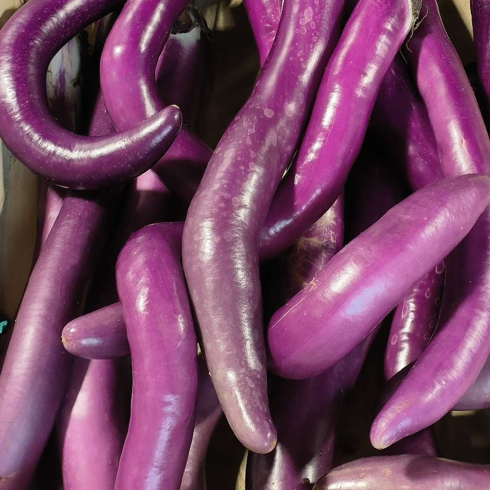 Aubergine japonaise - 400g